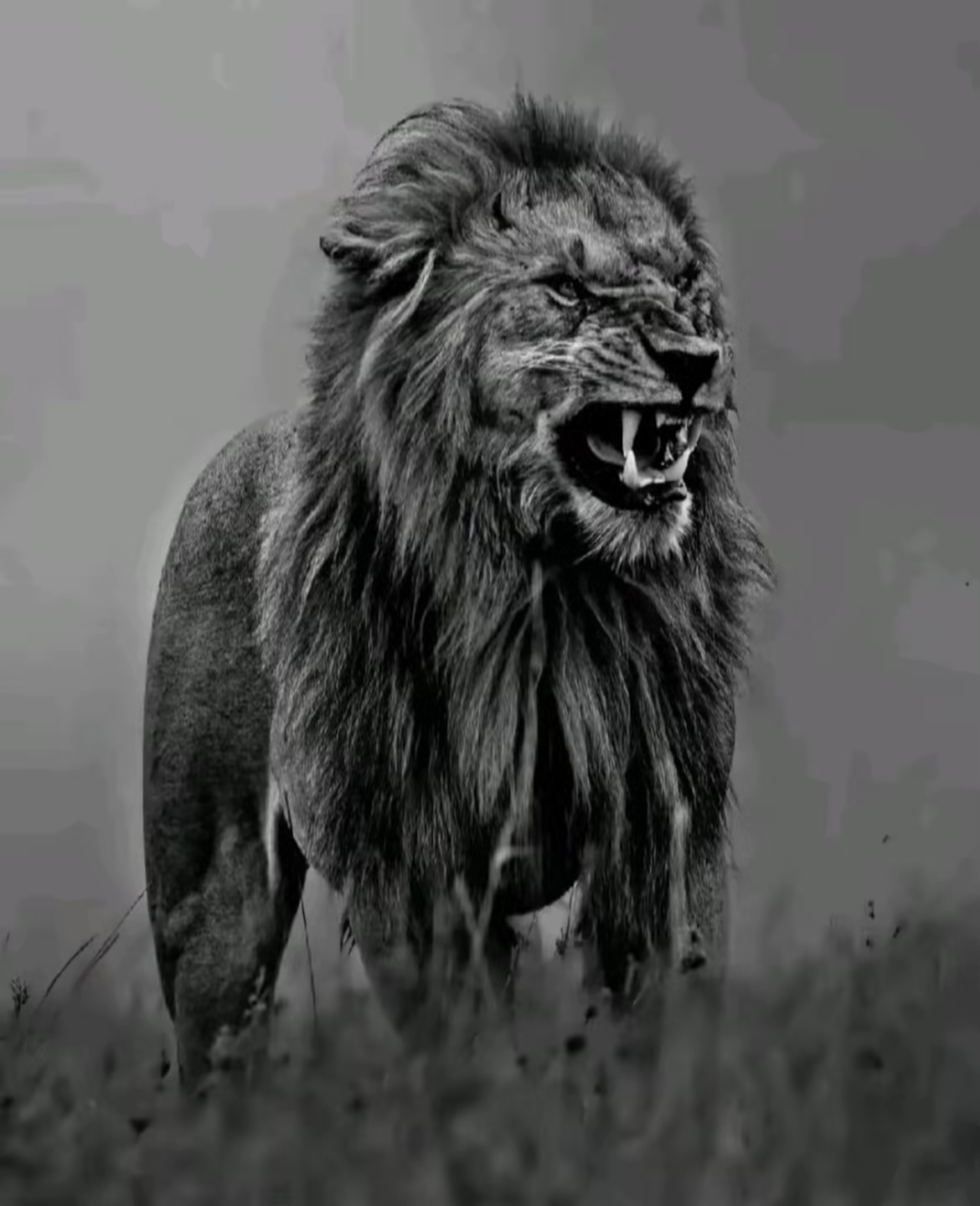 عبدالملك الدوسري