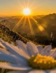 نسيمه الغريري