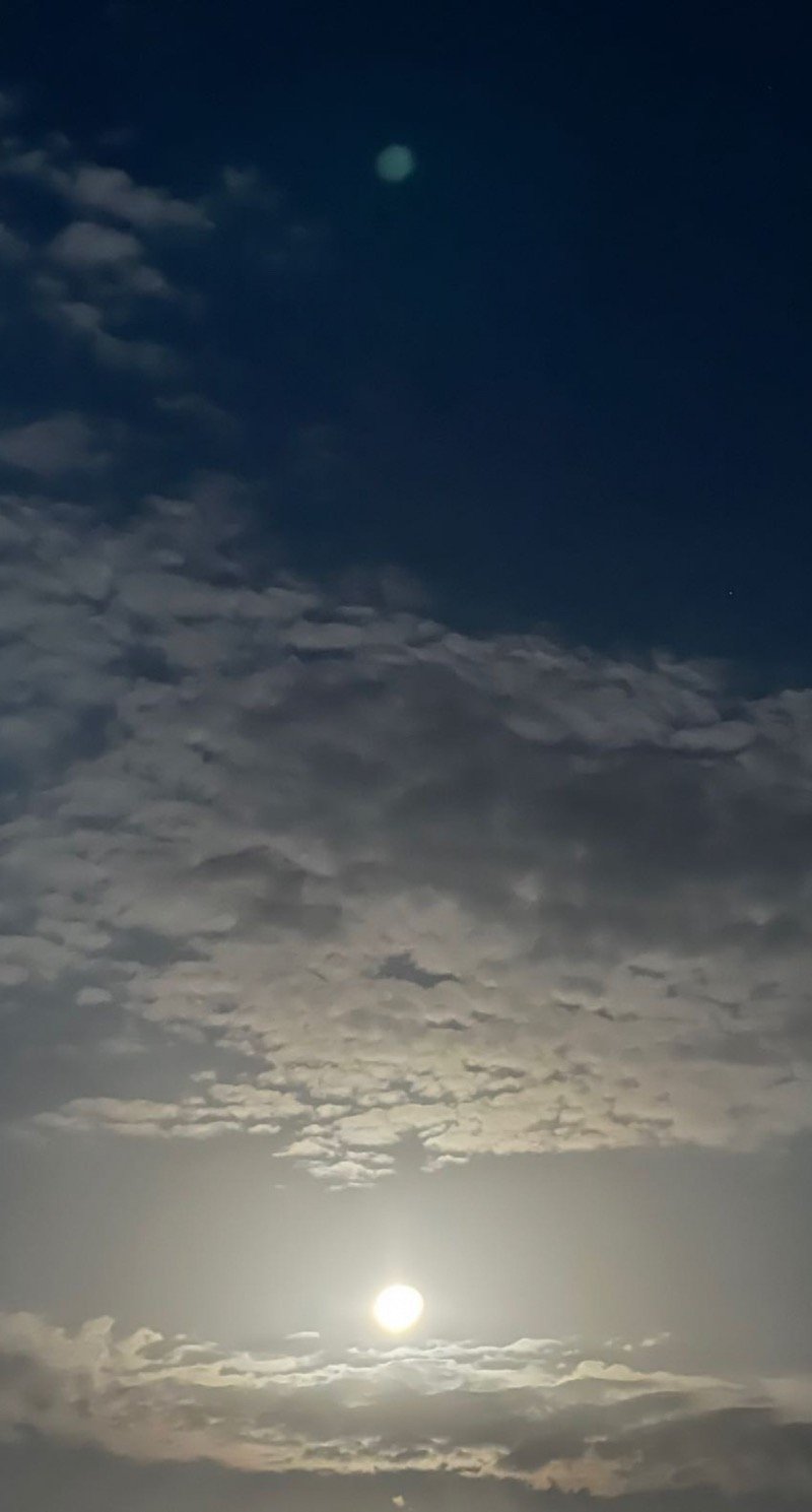 خلود العتيبي