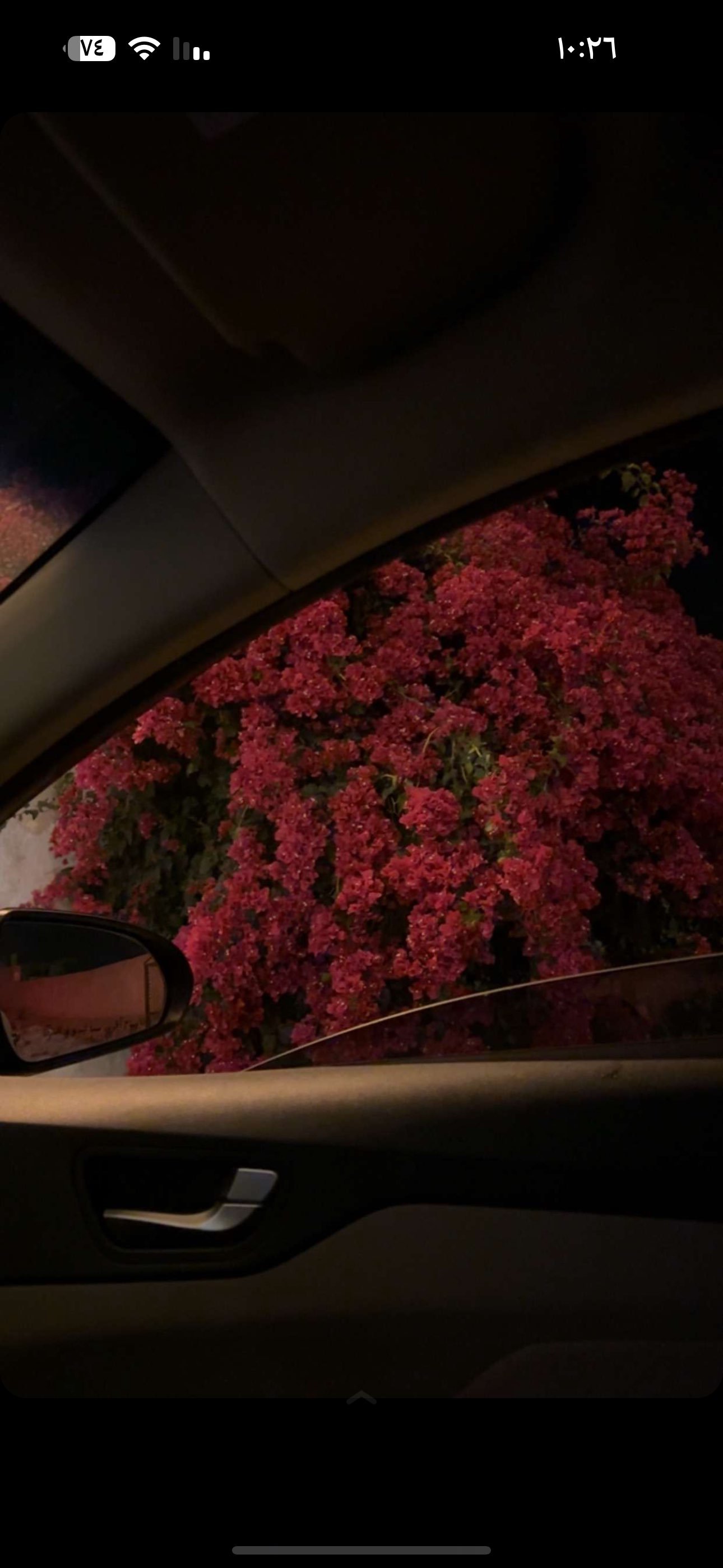 ليان العمري