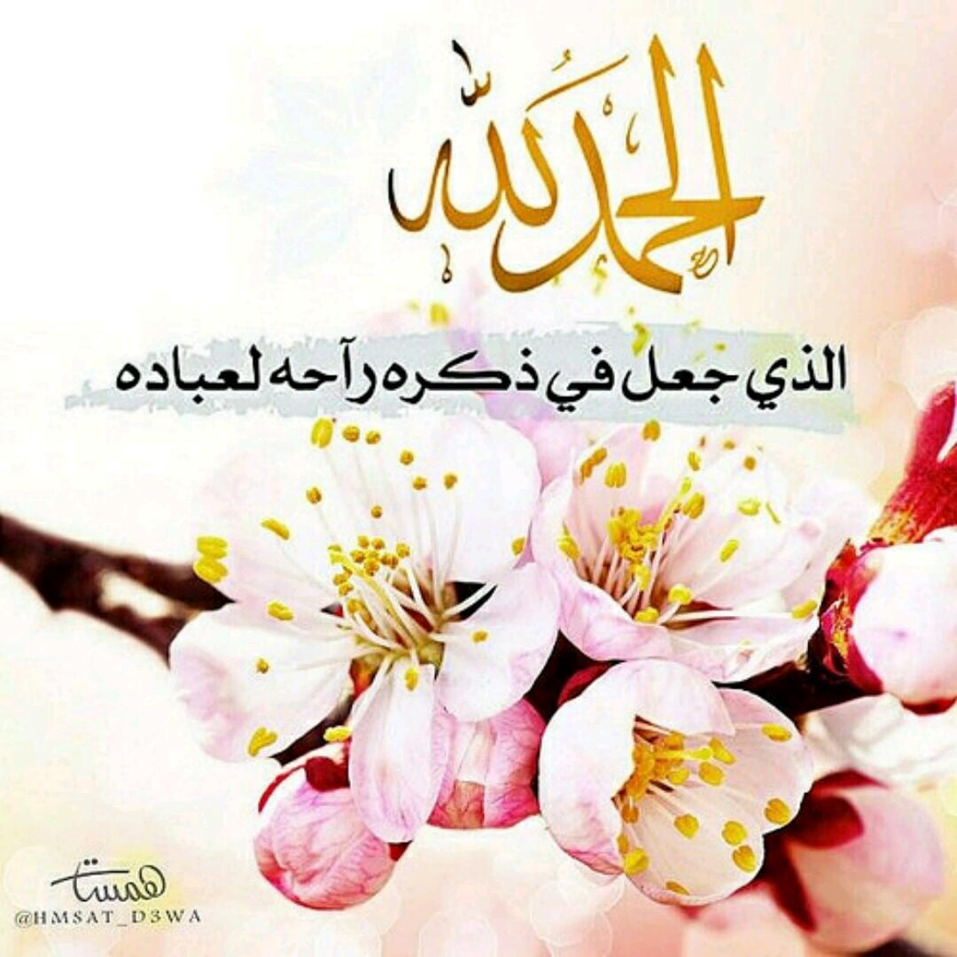 Amaal Ali