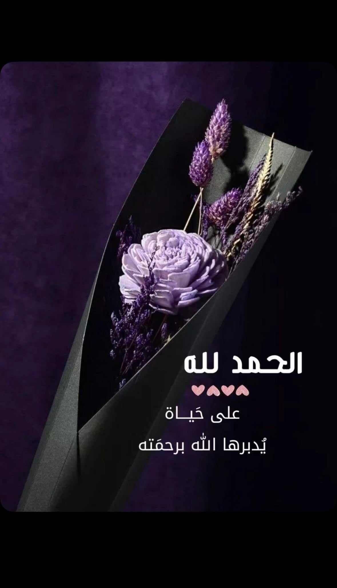منيره العلي