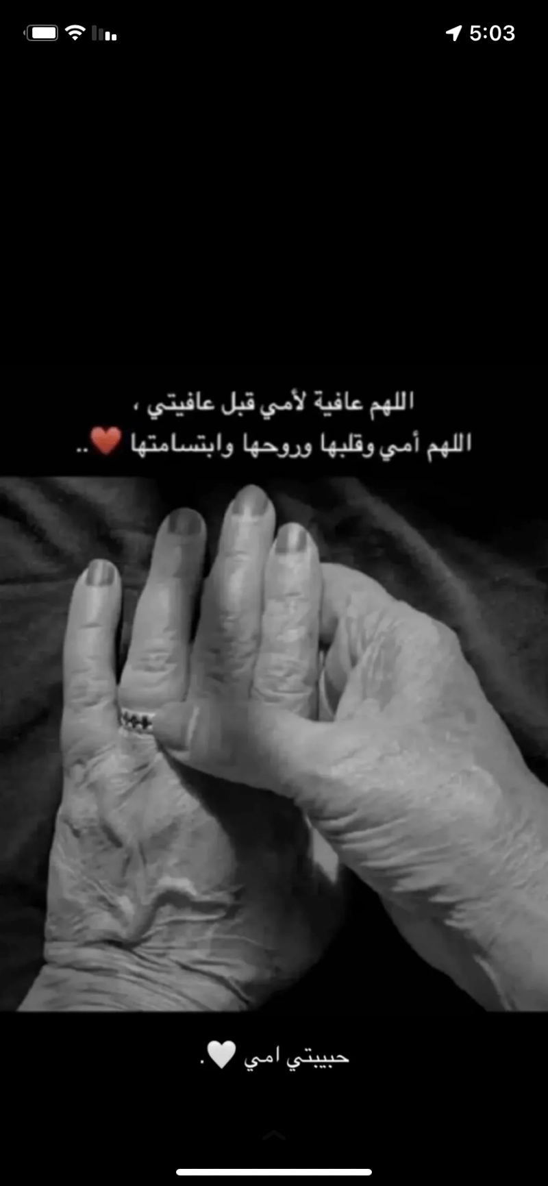 نوره ياسر