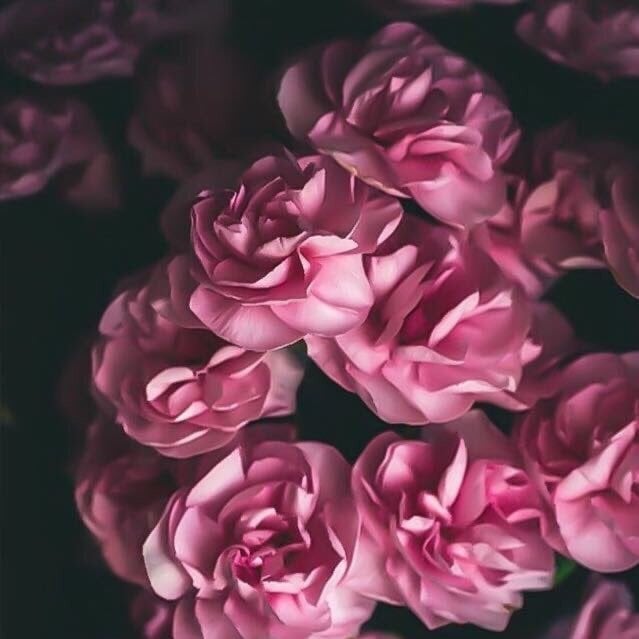 Rawan Al Muzel
