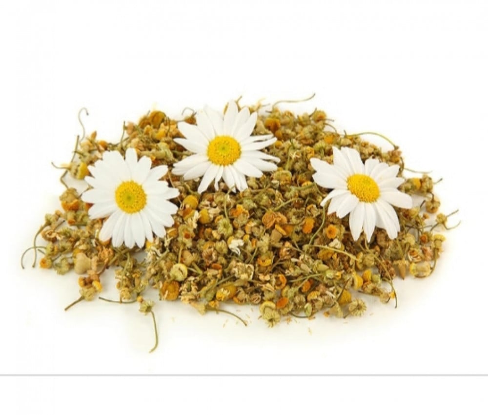 عشبة البابونج