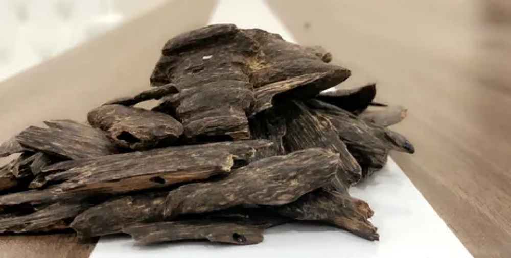 شكل عود الند من متجر كرستال للعود