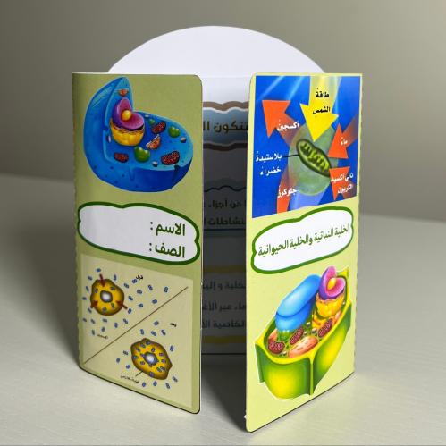 مطوية الخلية النباتية والخلية الحيوانية صف سادس ال...