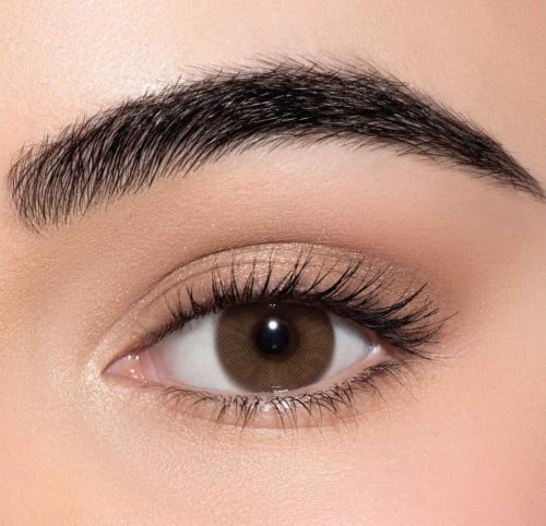 عدسات نيو لنس (تى