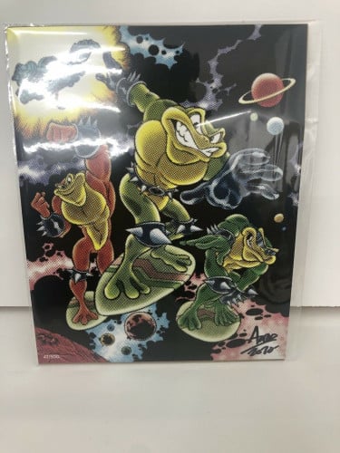 Bam Gamer Box Battletoads Variant Art Print Limited /500