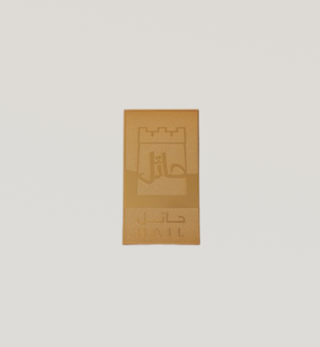 مغناطيس حائل