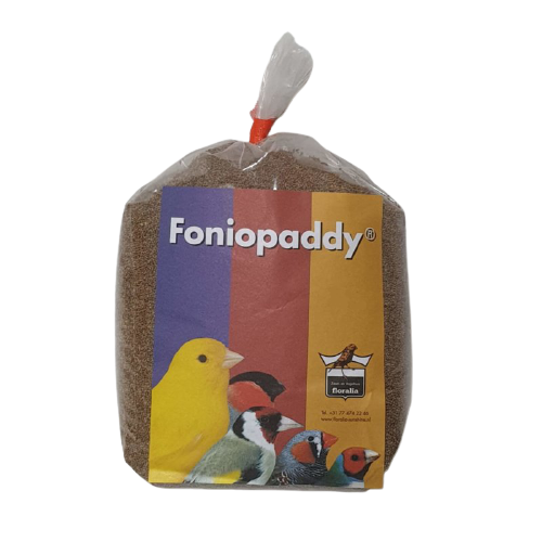 بذور فونيوبادي للطيور Foniopaddy