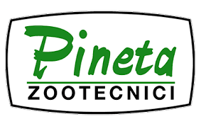Pineta