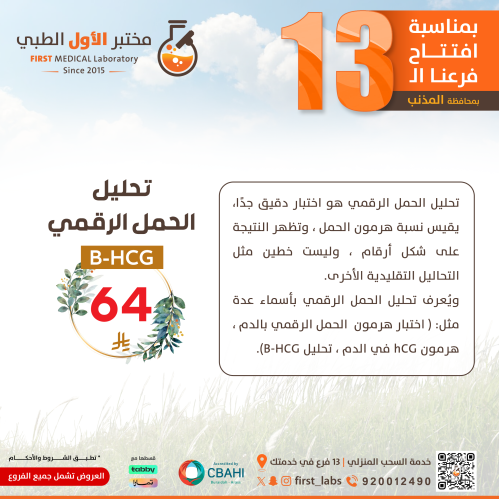 تحليل الحمل الرقمي