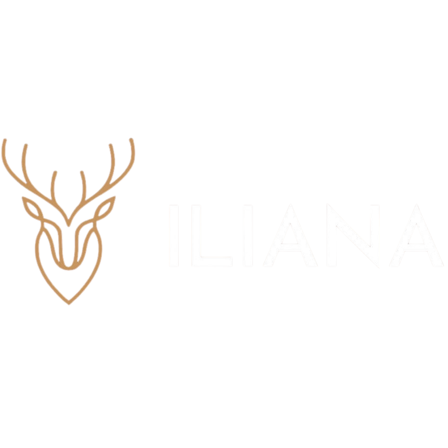 store avatar