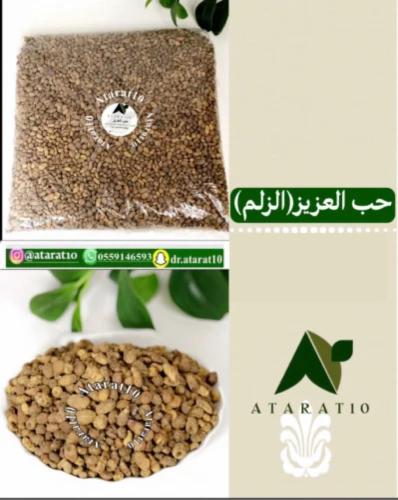 حب العزيز _ الزلم _ زلم