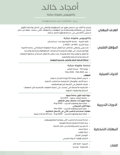 سيرة ذاتية لغة واحدة ( بالعربية أو الإنجليزية )