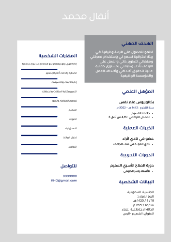 سيرة ذاتية لغة واحدة ( بالعربية أو الإنجليزية )