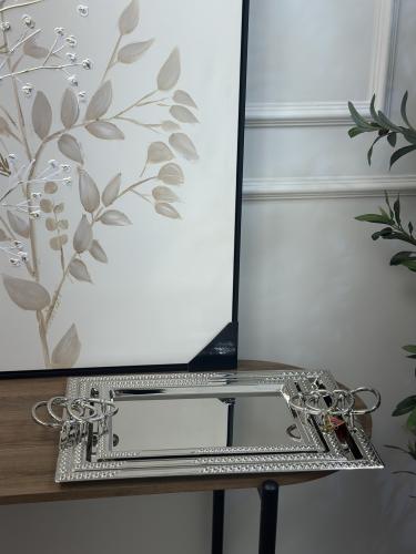 صينية تقديم فضي