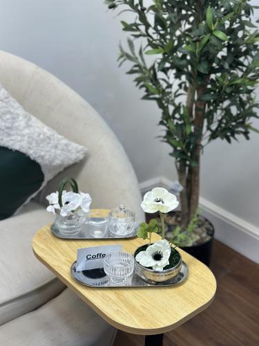 صينية استيل فضي