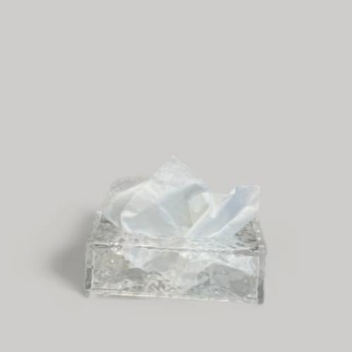 منظم مناديل اكريليك حجم ميني