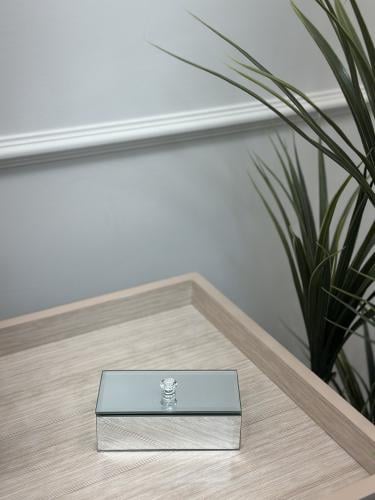 بوكس بخور فضي