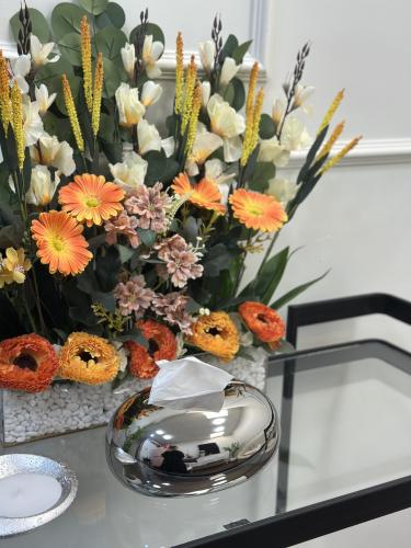 منظم مناديل زجاج فضي