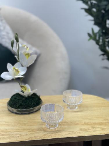 صحن تقديم حجم ميني