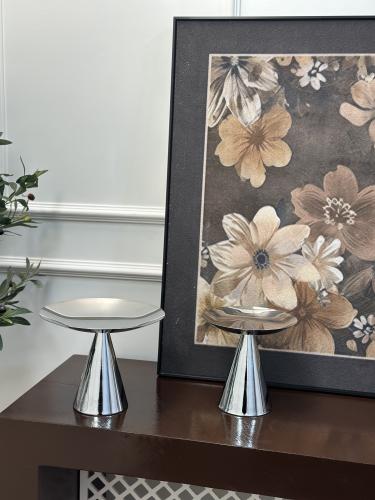 صحن تقديم فضي