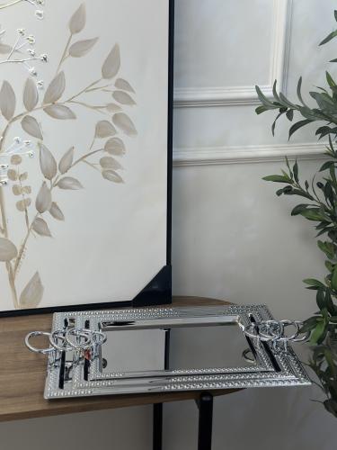 صينية تقديم فضي