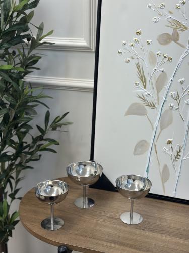 صحن تقديم فضي