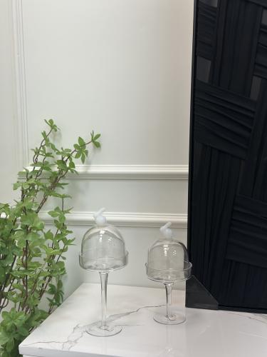 استاند تقديم زجاج بغطاء