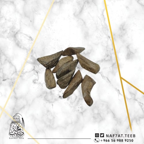 عود موروكي محسن بيور