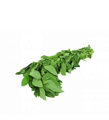 ملوخية طازج حزمة