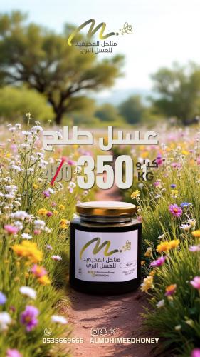 كيلو عسل طلح