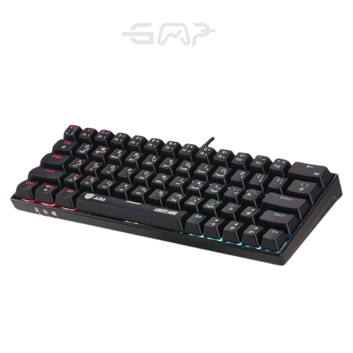 ASA Keyboard Horizon Pro