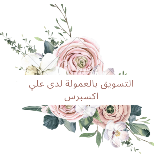 التسويق بالعمولة لدى علي اكسبرس
