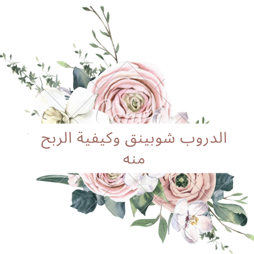 الدروب شوبينق وكيفية الربح منه