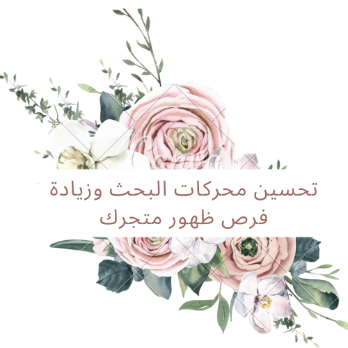 تحسين محركات البحث وزيادة فرص ظهور متجرك