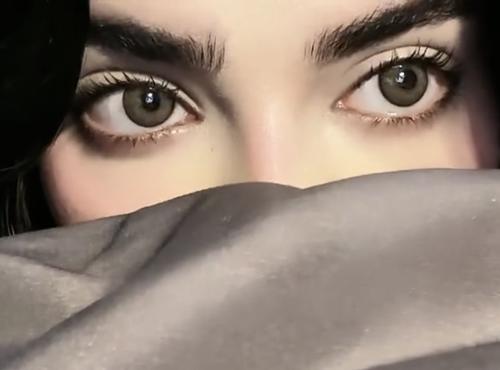 تايقر