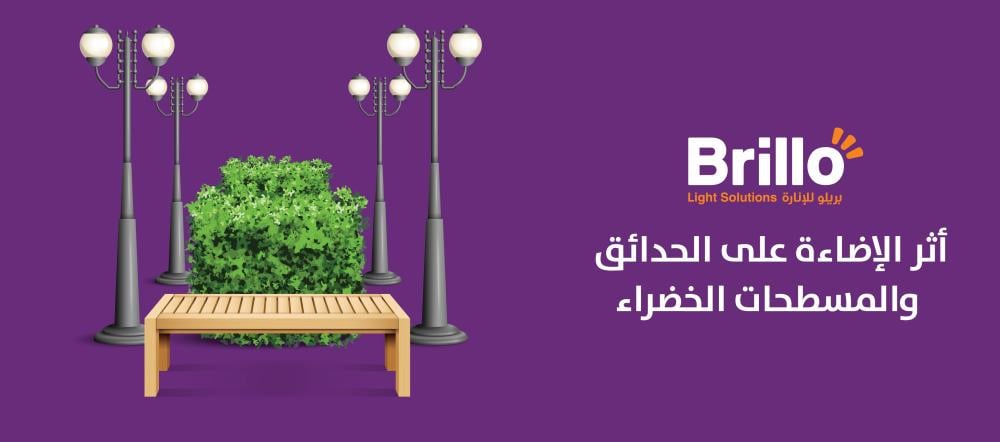 أثر الإضاءة على الحدائق والمسطحات الخضراء