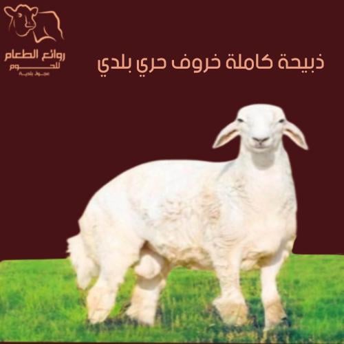ذبيحة كاملة خروف بلدي بدون تغليف