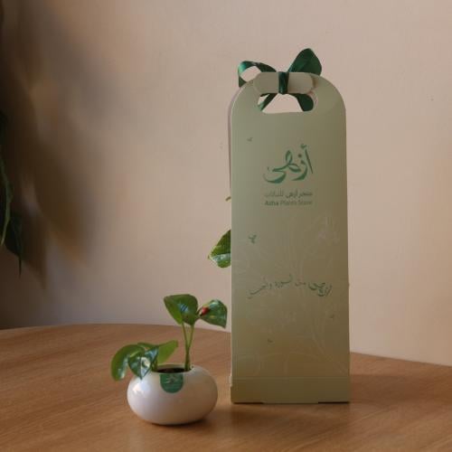 بوتس