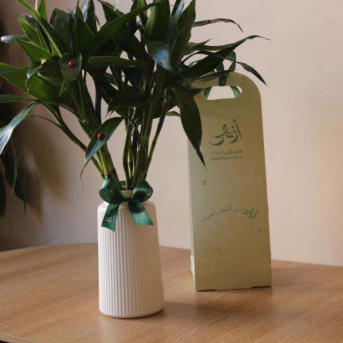 بامبو صغير