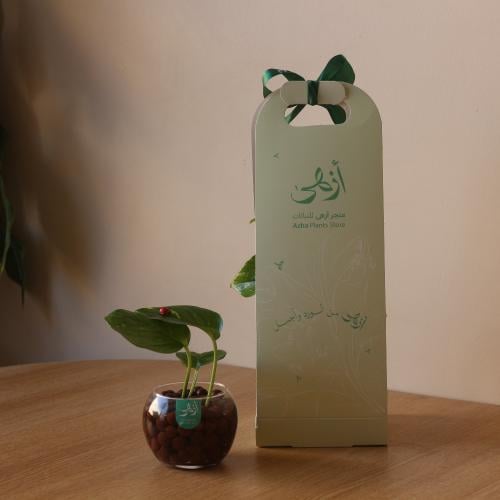 بوتس صغير