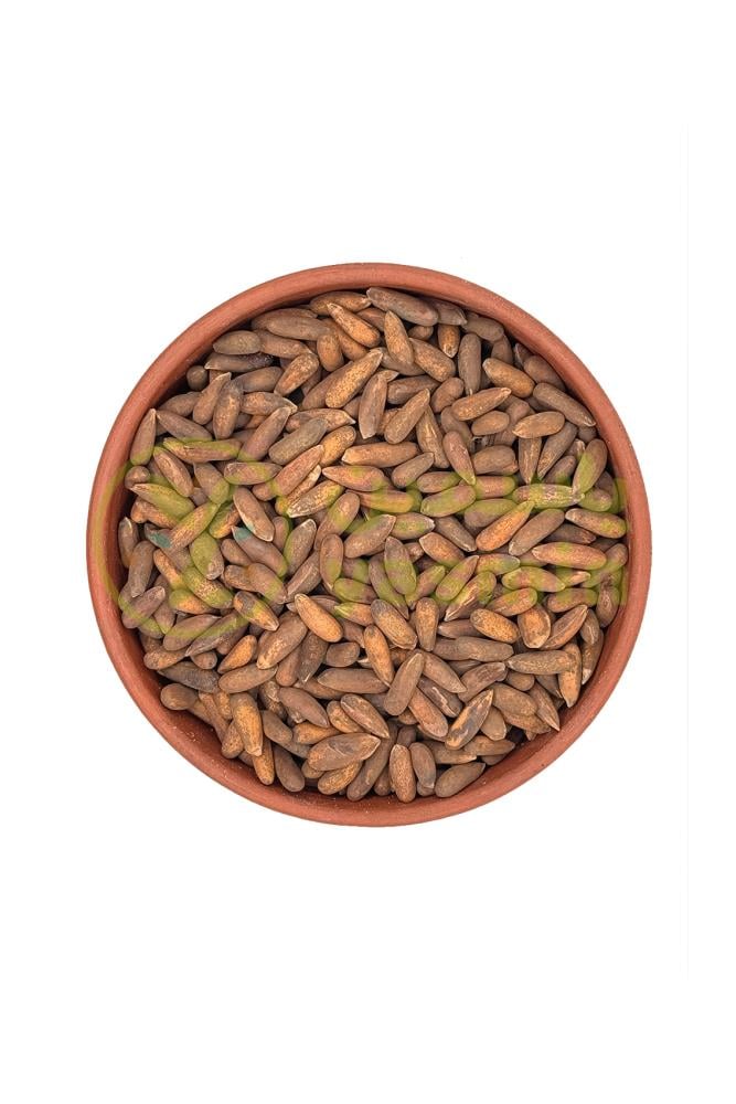Chilgoza - Pine Nut Whole