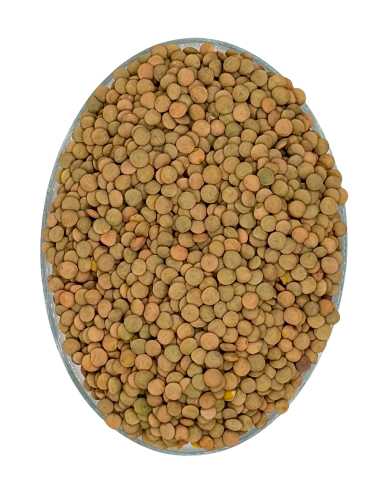 Black Chana – Premium Imported Pulses | Yasmin Store | Yasmin Store