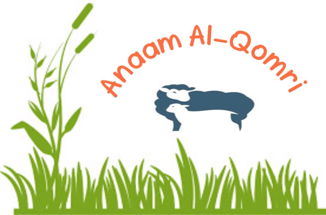 آنعٍآم آلُِقٌمرٍي