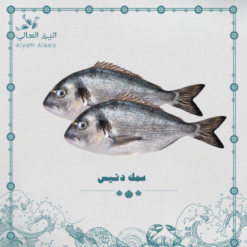 سيبريم 600/400 جرام ( دنيس ) - Siberium