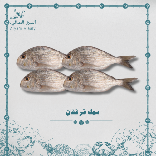 سمك قرقفان ( عماني ) - Gargafan
