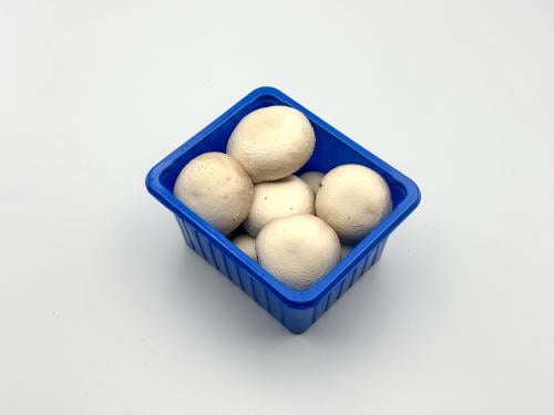 فطر أبيض علبة